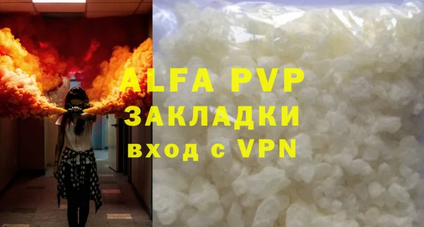 шишки Горняк