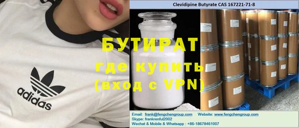шишки Горняк