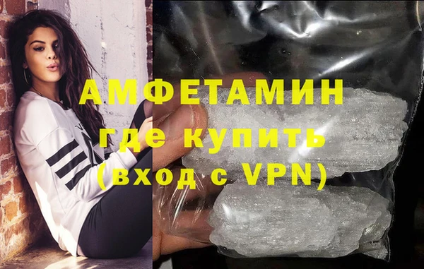 шишки Горняк