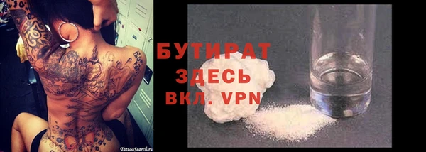 шишки Горняк