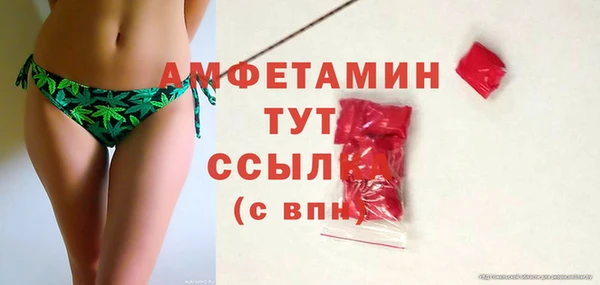 шишки Горняк