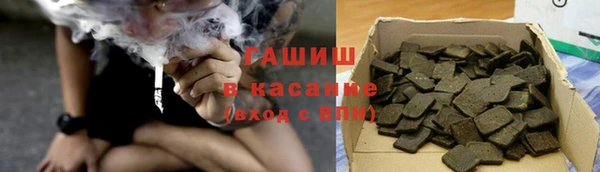 шишки Горняк
