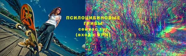 шишки Горняк