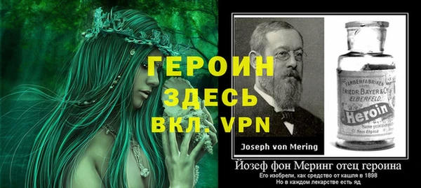 шишки Горняк