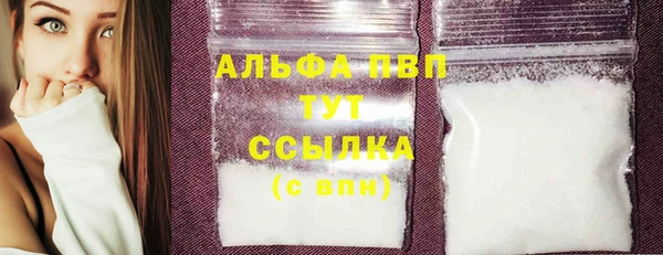 шишки Горняк